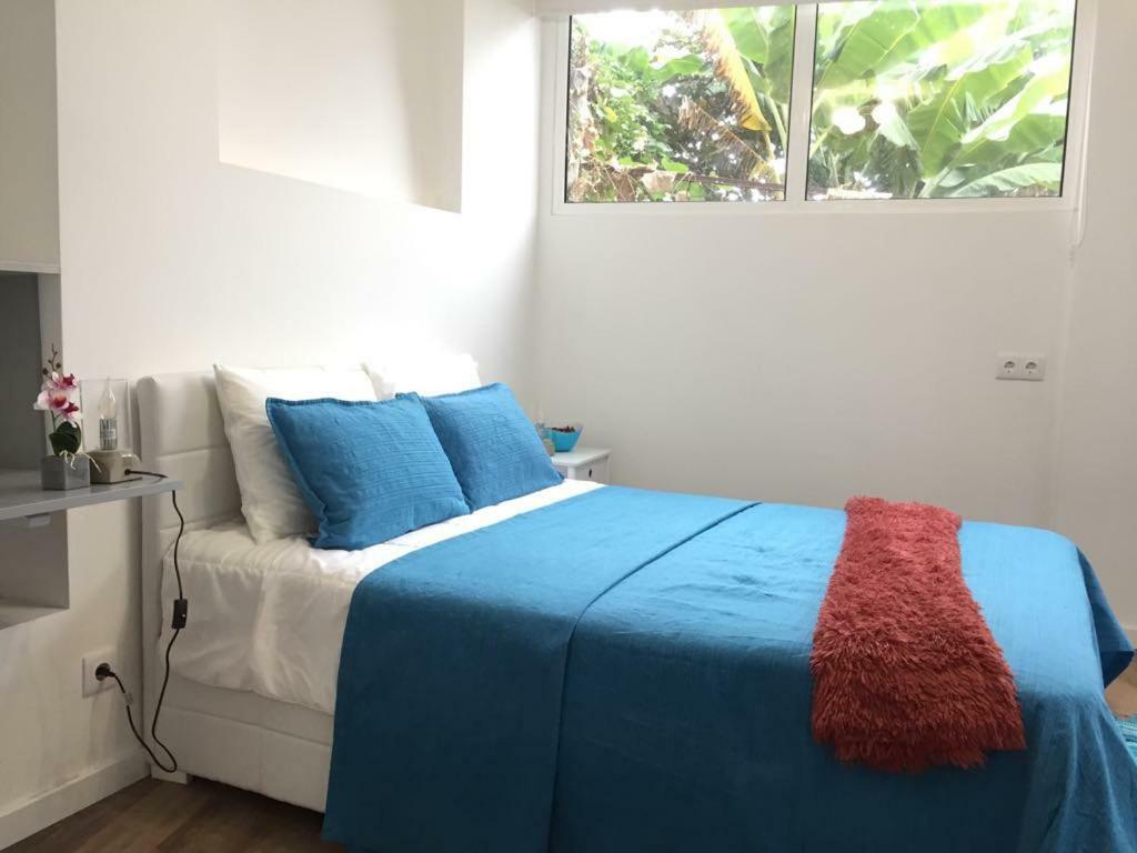 Rochinha Cozy Home 푼샬 외부 사진